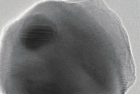 SEM Image