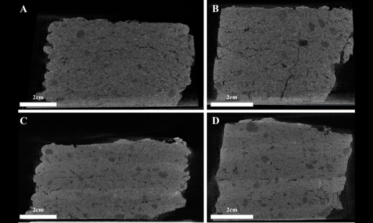 从生物矿化到3D打印：显微CT揭示分层ACC结构的低温构建机制