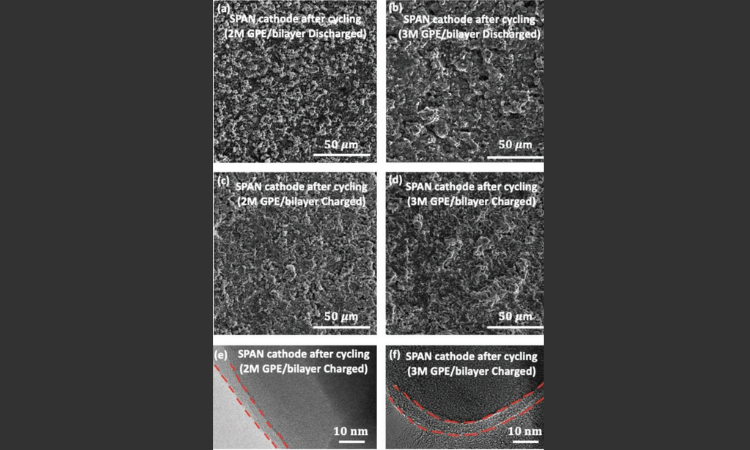 Forge Nano ALD用户分享|马里兰大学团队研发高能量密度固态锂硫电池，成果发表在Advanced Energy Materials上！