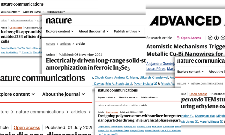 DENSsolutions 原位样品杆:2025 精选十篇顶刊的隐形功臣,Nature/AM 都在用!